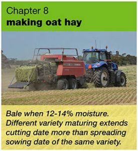 Marketing oat hay