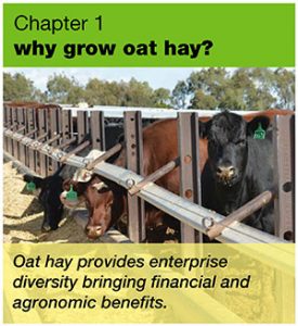 Why grow oat hay?